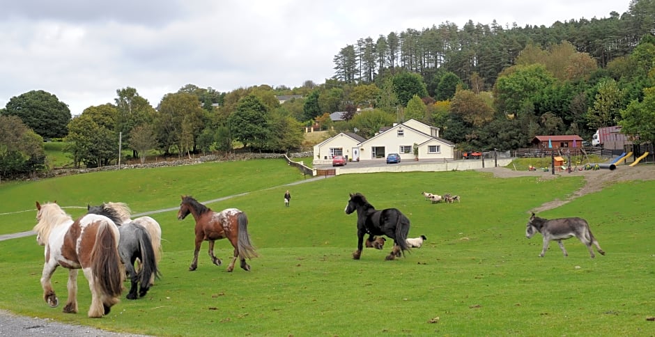 Muckross Riding Stables