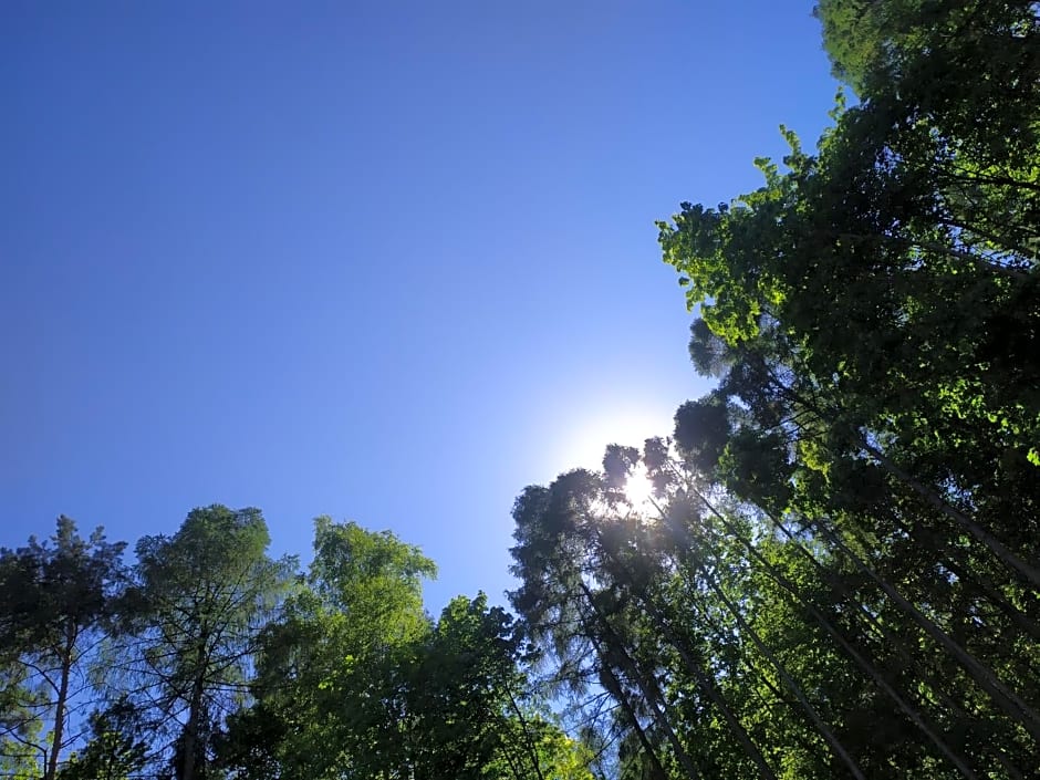 Willa Bona blisko Zamku Królewskiego i Rezerwatu zapraszam na grę miejską Magiczne Chęciny