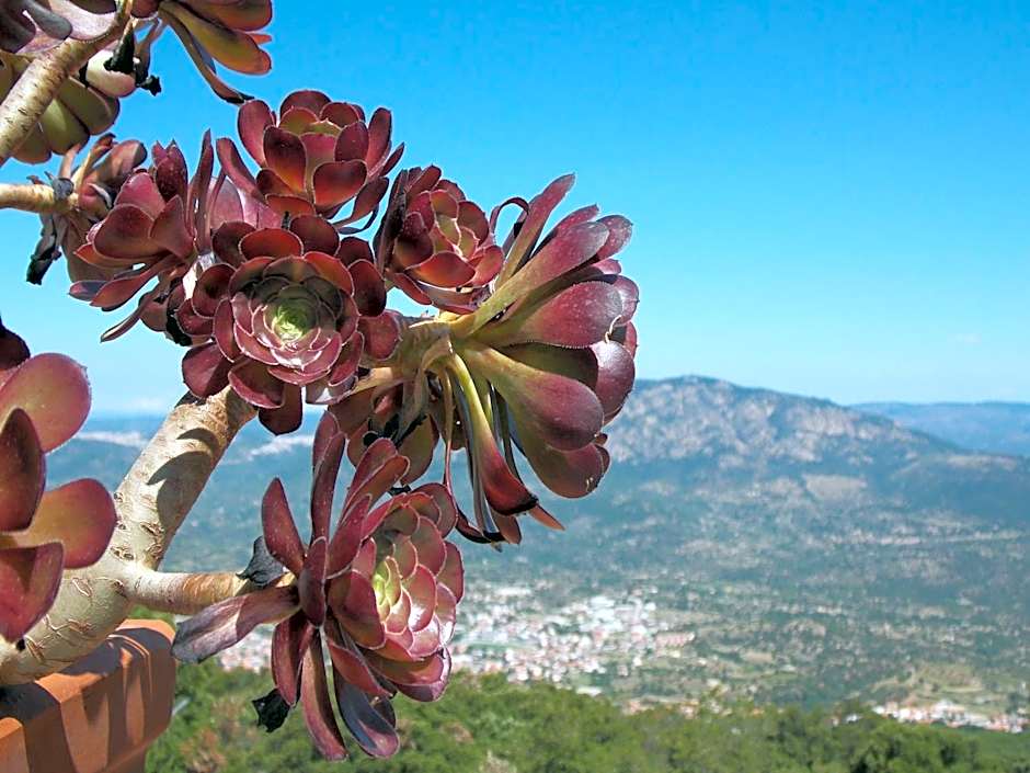 S'Enis Monte Maccione
