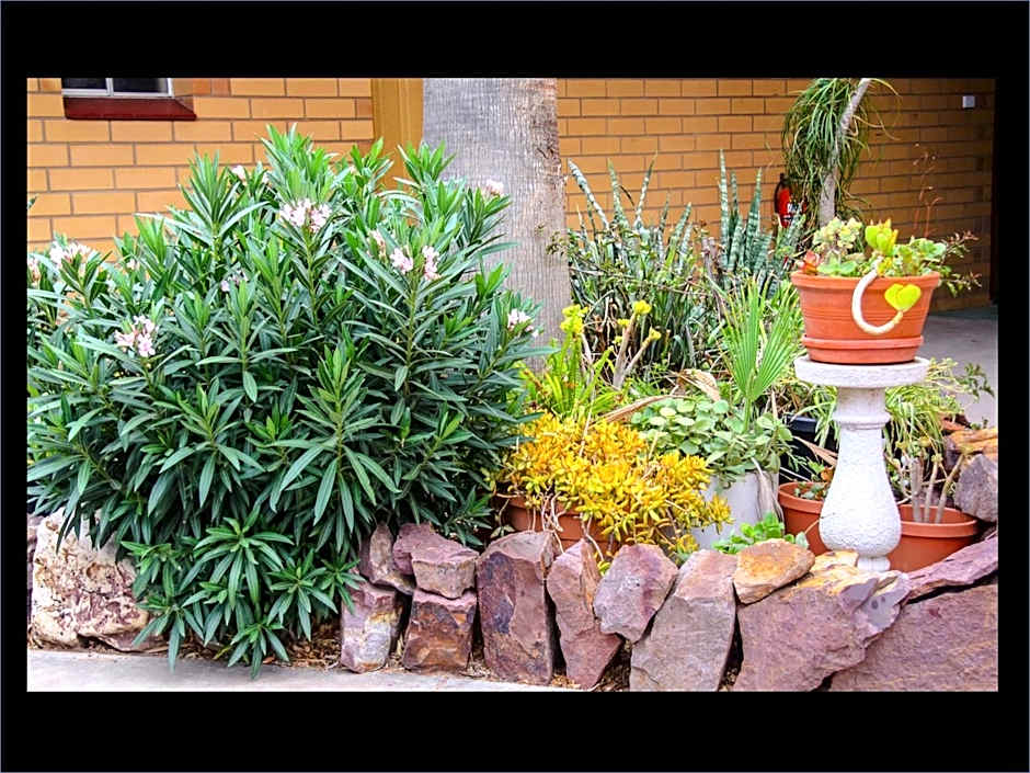 Pampas Motel Port Augusta