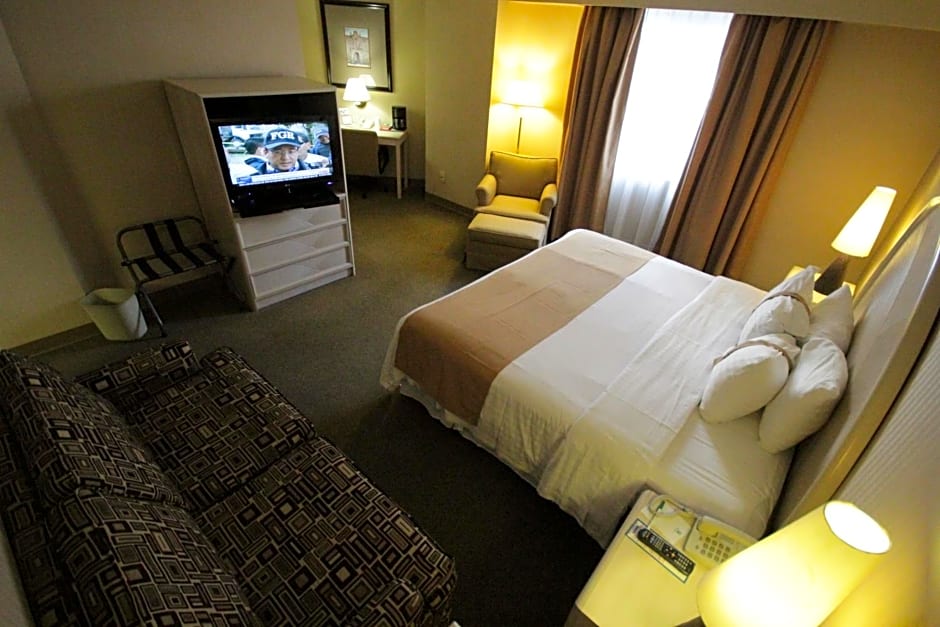 Holiday Inn Leon-Convention Center By IHG