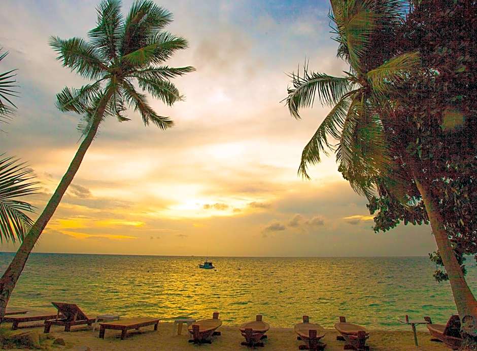 Koh Tao Beach Club
