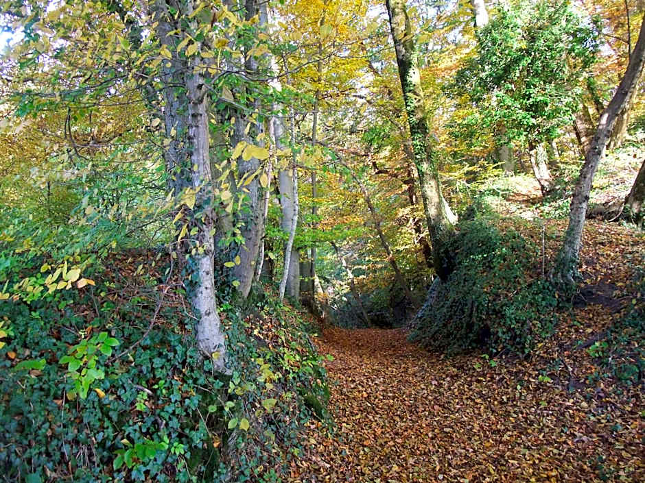 Le Domaine du Grand Cellier Chambres d'hôtes en Savoie