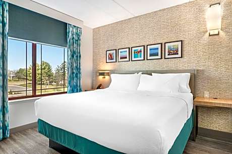 One-Bedroom King Suite with Twin Sofa Bed