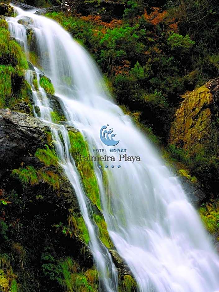 Hotel Norat Palmeira Playa