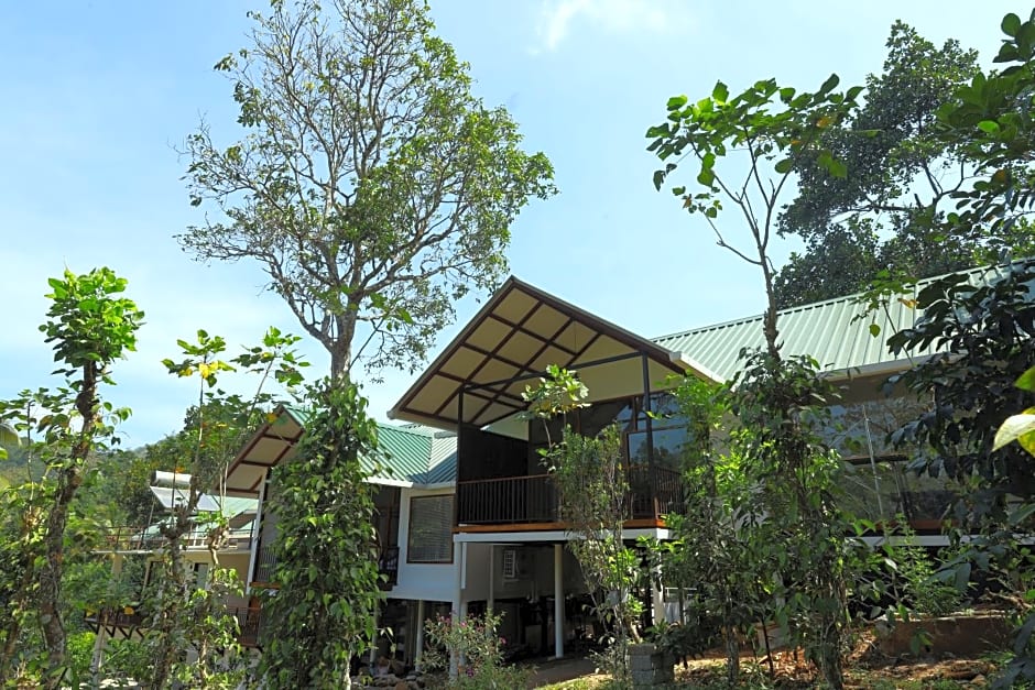 Coffee and Pepper Plantation Homestay