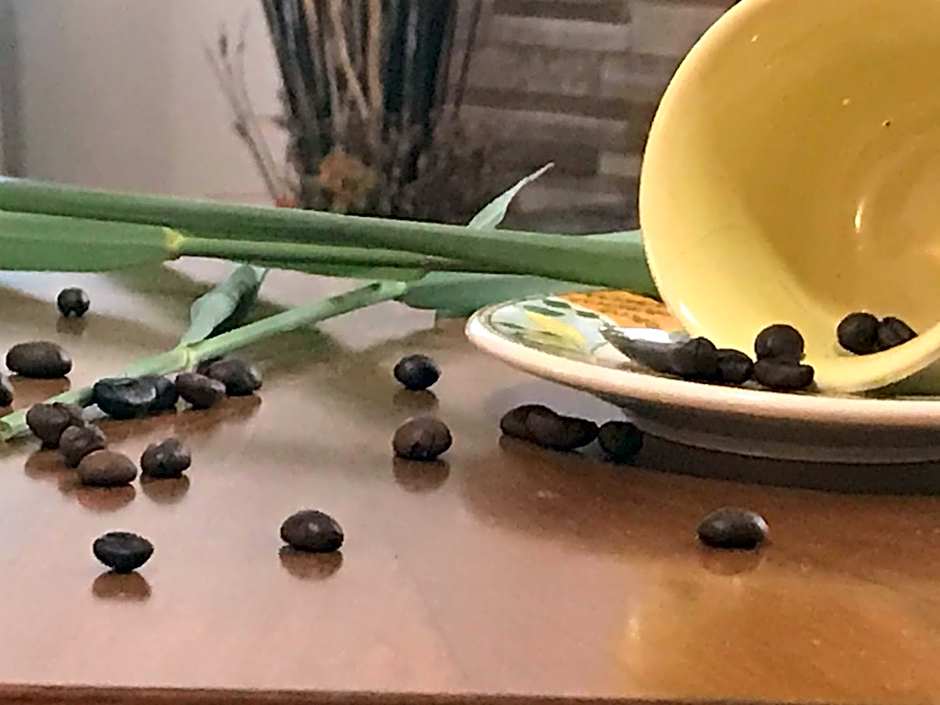 Hotel Rurale Canneviè