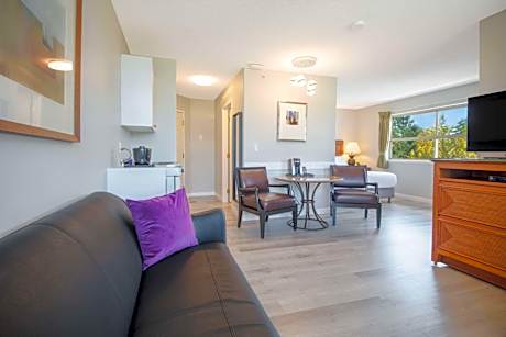 Coast Premium Queen Studio Suite