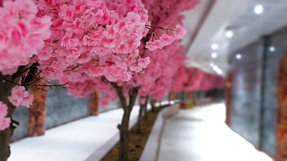 Sarot Thermal Palace Tatil Köyü - Halal Hotel