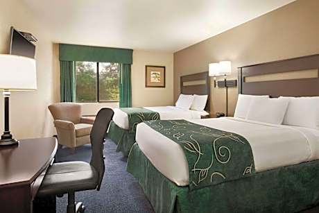 Queen Room with Two Queen Beds - Non-Smoking