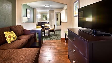 Suite-1 King Bed, Smoking Room, Two 32 Inch Lcd Televisions, High Speed Internet Access, Microwave A