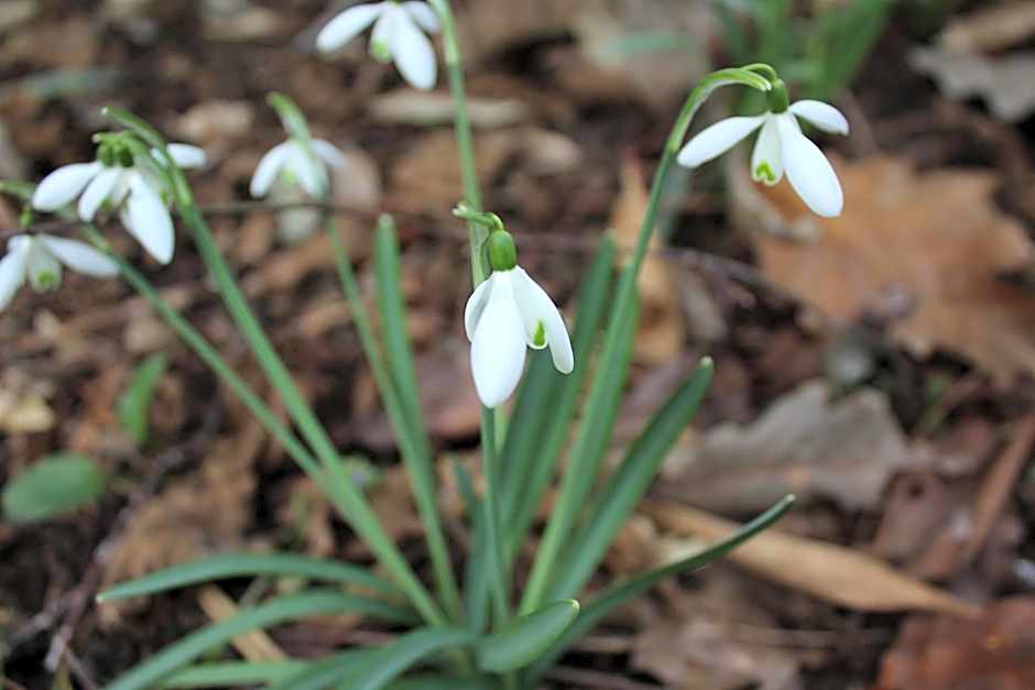 Fasthotel Tours Nord