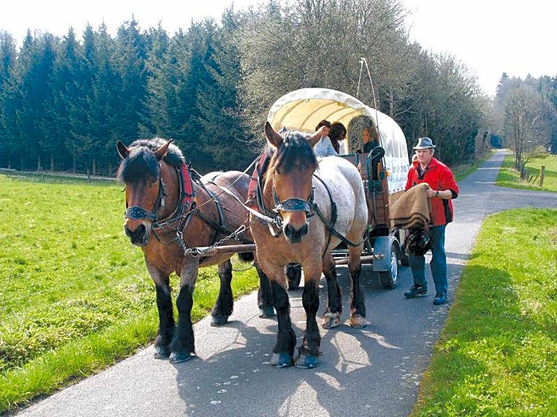 Landgasthof Lang Zum Adler