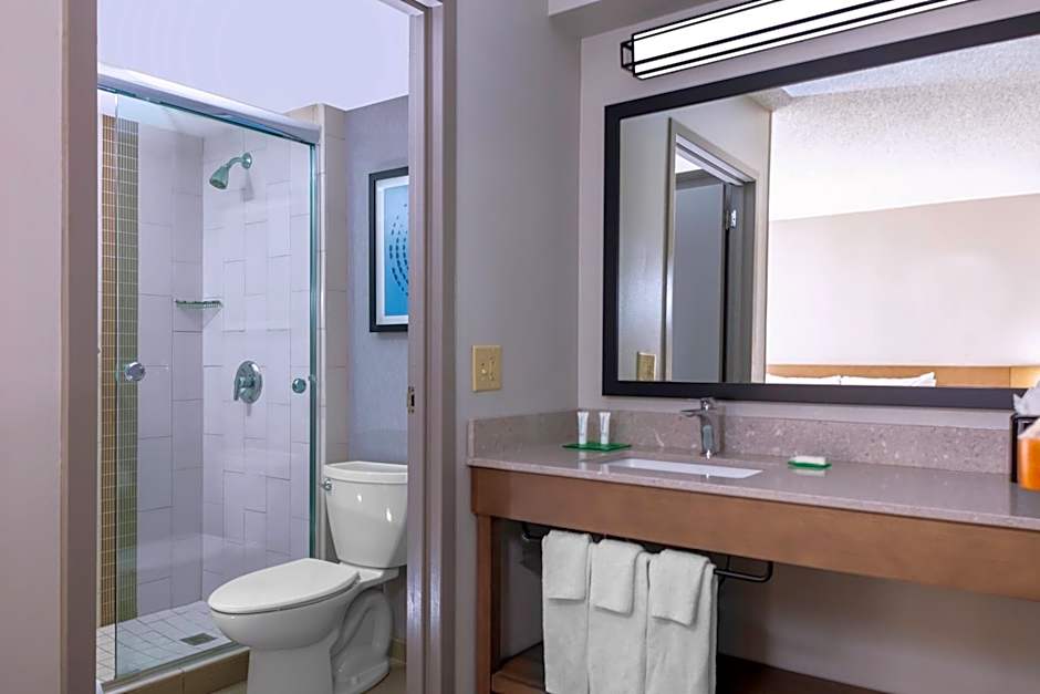 Hyatt Place Dallas Arlington