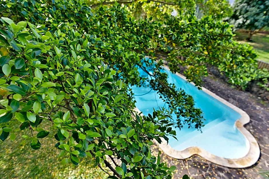 Tree Lodge Mauritius