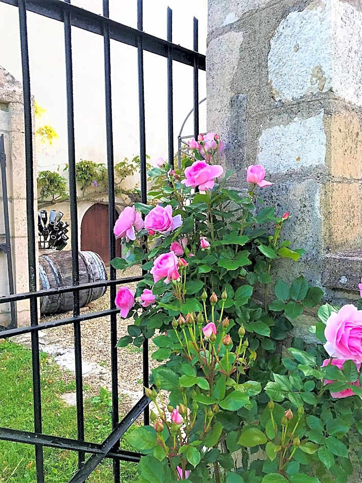 Domaine Pont Juillet