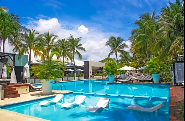 Oh! The Urban Oasis - Adults only