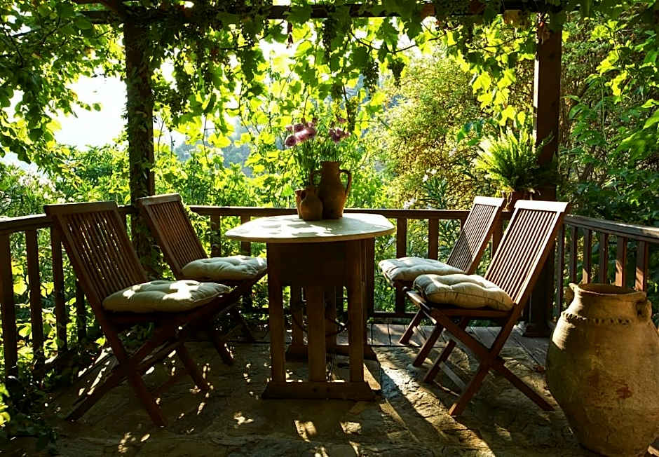 Terrace Houses Sirince - Fig, Olive Clockmakers and Grapevine