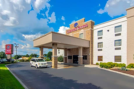 Comfort Suites Airport Alcoa