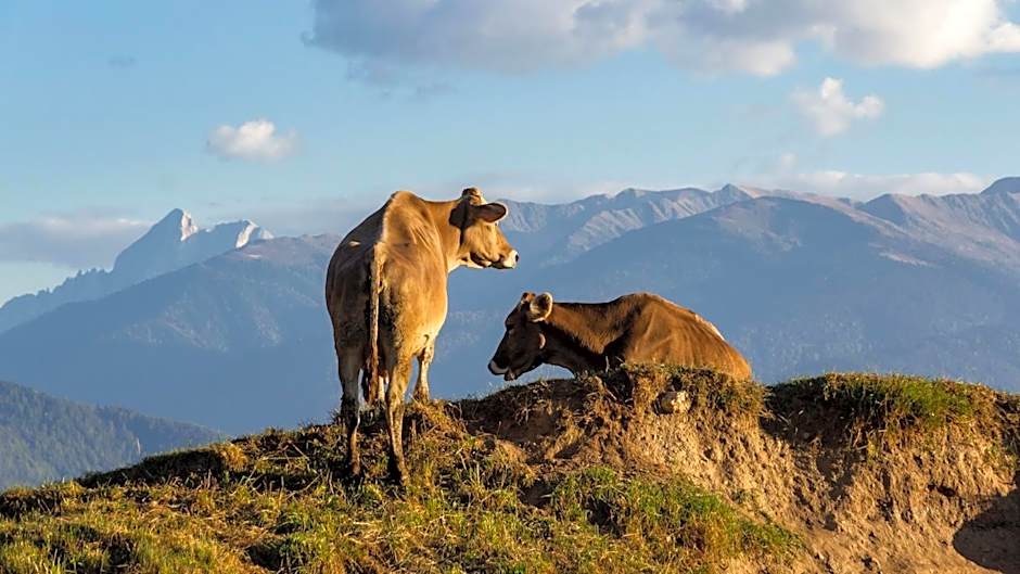 Residence Speckerhof