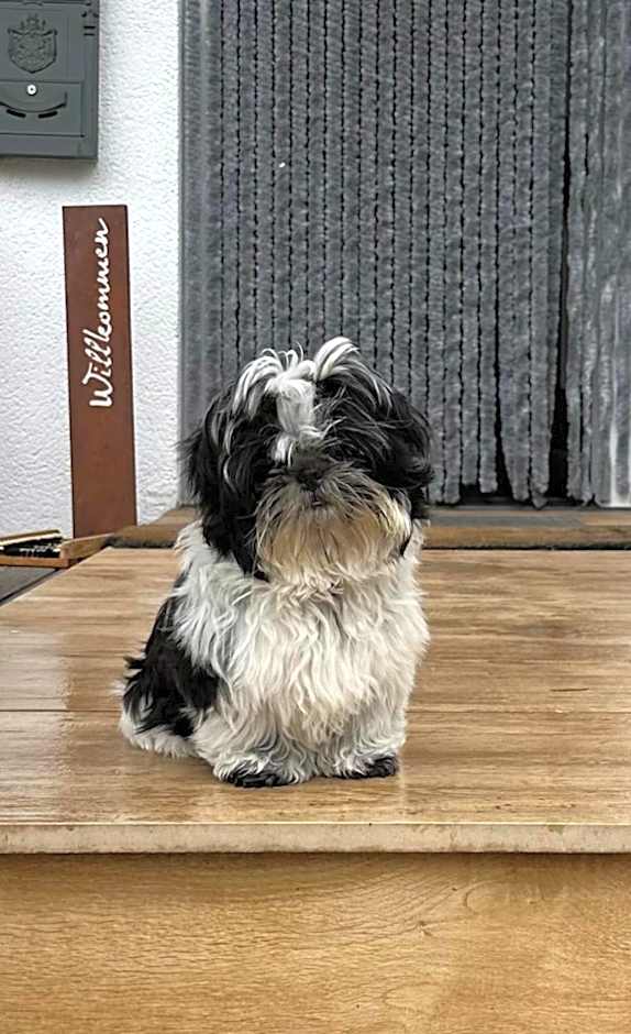 Boutique Hotel Alpenhof