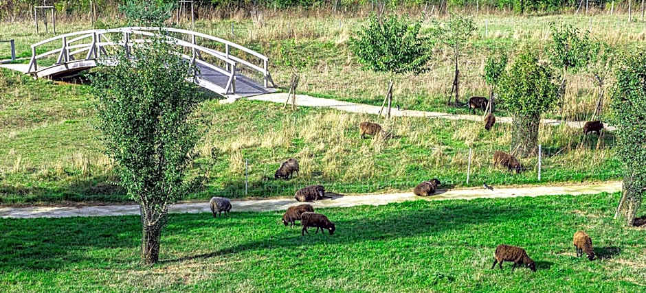 Le Green des Impressionnistes