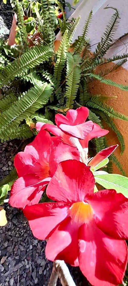 La Paloma Oceanfront Retreat