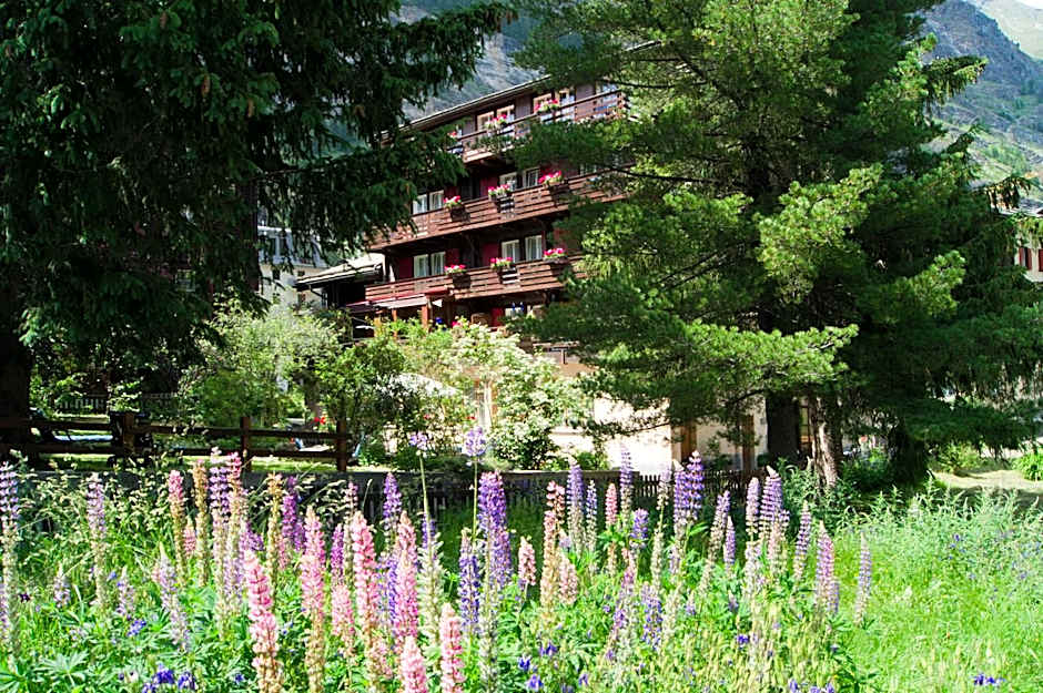 Hotel Alpina