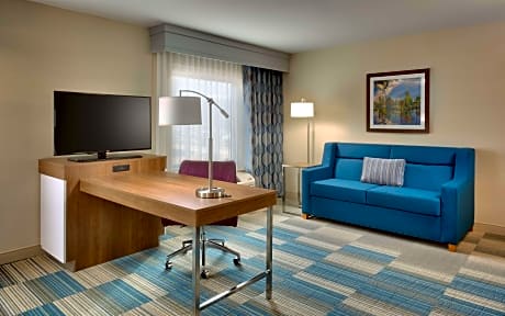 1 KING BED STUDIO SUITE NONSMOKING - FREE WI-FI/42 IN PLASMA HDTV/SOFABED/WTBR - HOT BREAKFAST INCLUDED -