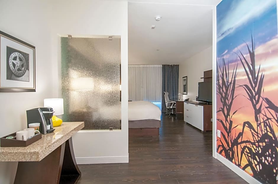 Hotel Indigo Waco-Baylor By IHG
