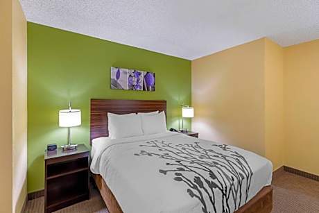 Queen Room with Roll-in-Shower - Accessible/Non Smoking