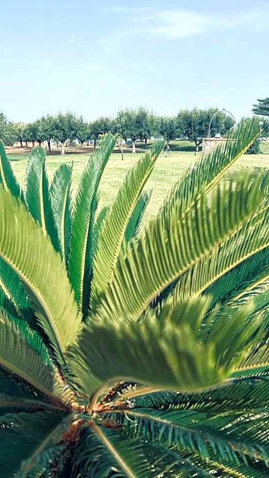 B&B Casale Pietrantica Tropea