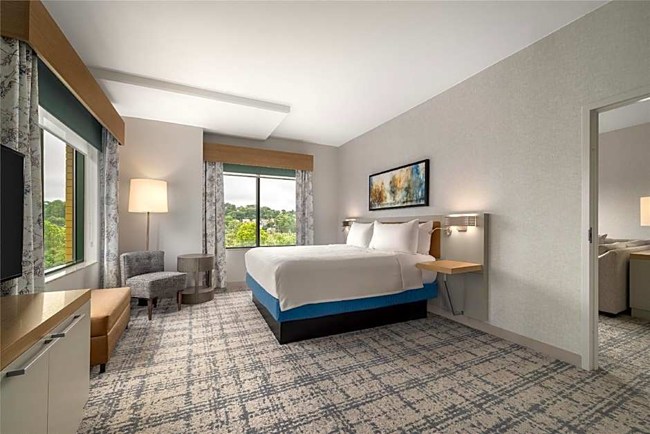 Photo 1 of 6 of 1 Bedroom 1 King Bed Suite, Hearing Accessible