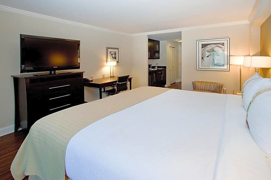 Photo 1 of 5 of Standard 1 King Bed