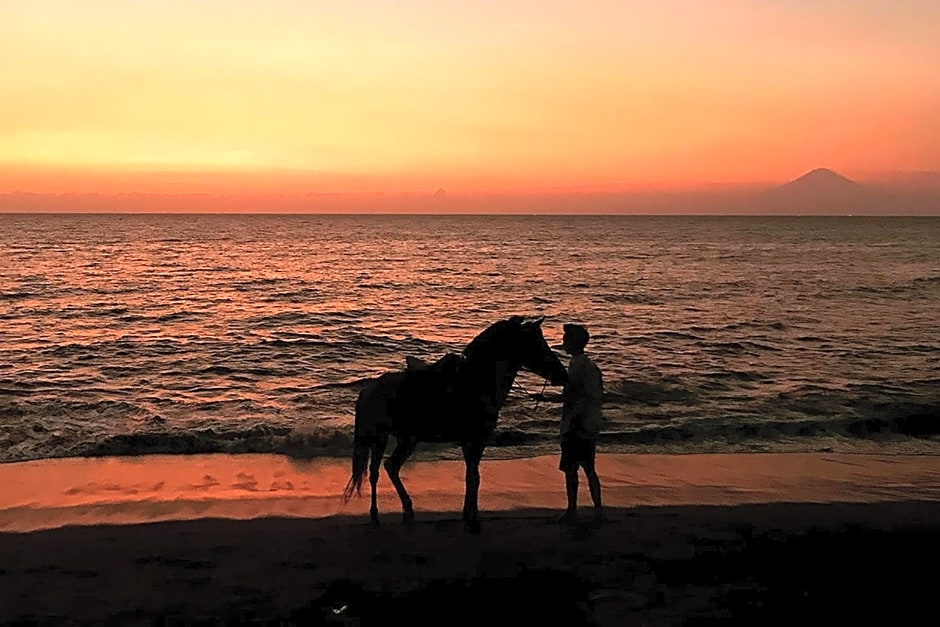 OYO 2284 Grand Villa Meninting