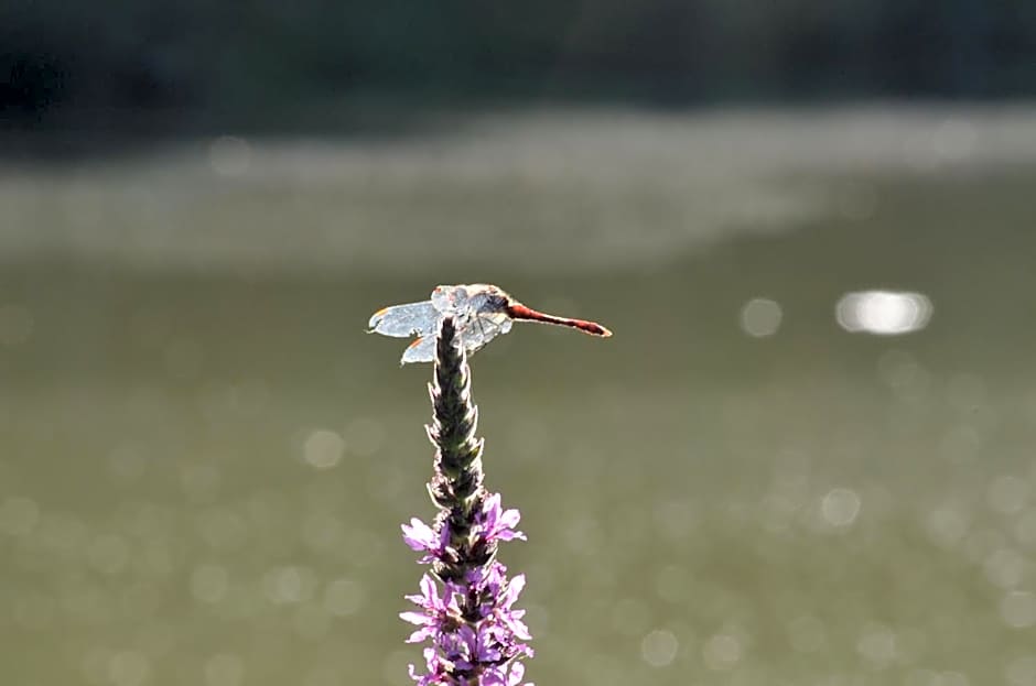 Chalet de La Héronnière