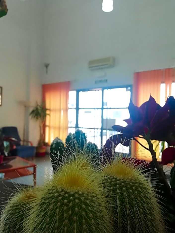 Bayo Lirola Hotel Balisa