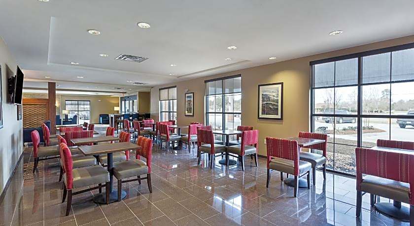 Comfort Inn & Suites Zachary