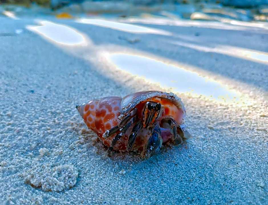 Runa Group House Samed 