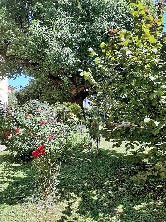 Antica Fattoria La Verdina