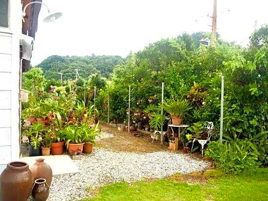 Guest House Hibiscus
