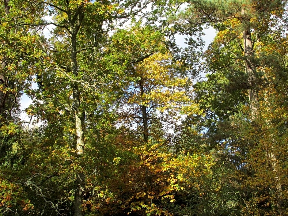 Albertine ,A warm welcome awaits you ,Offering room only or bed and breakfast ,Ideal location for Solent Way ,High Street ,Isle of Wight ,New Forest