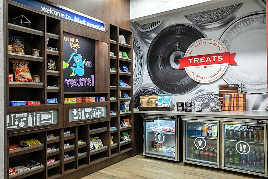 Hampton Inn Black Mountain