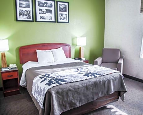 1 Queen Bed, Nonsmoking