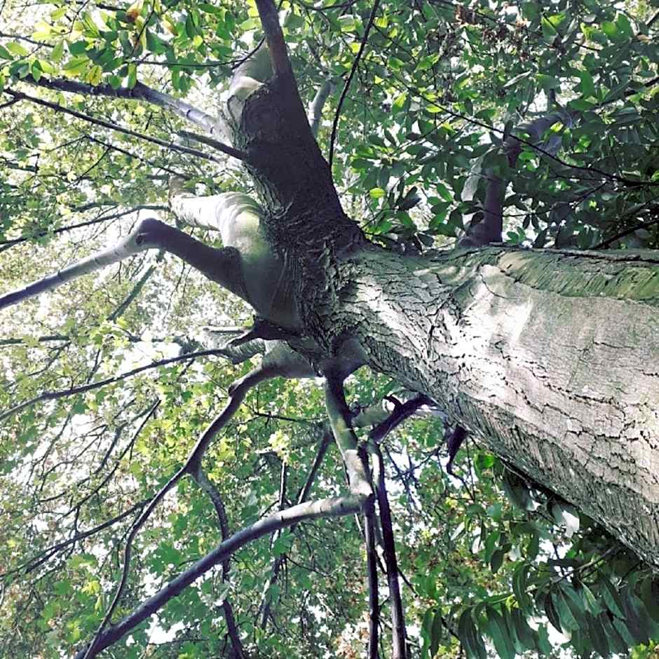 Demeure de la Garenne