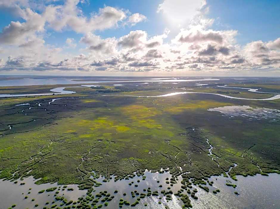 Hampton Inn By Hilton And Suites Jekyll Island
