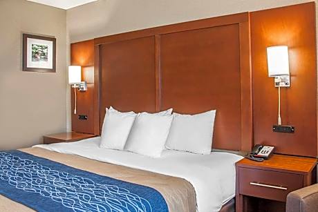 King Suite - Accessible/Non-Smoking