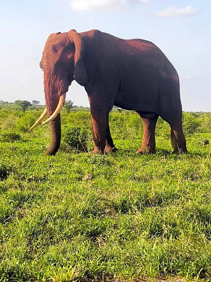 Tausa Tsavo Eco Lodge