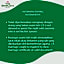 The Sriwijaya Hotel