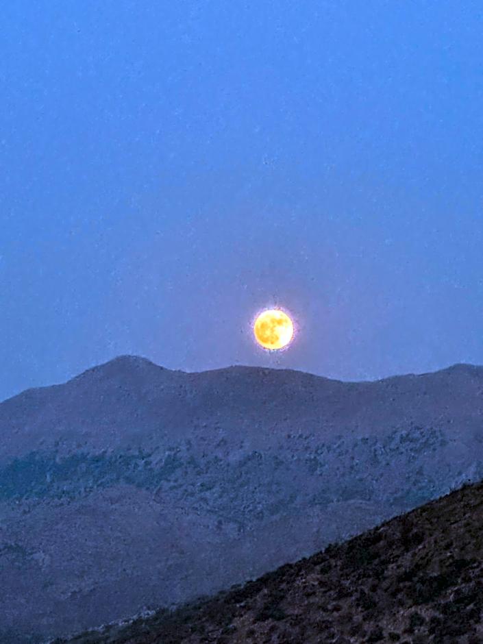 Blue Horizon Apartments